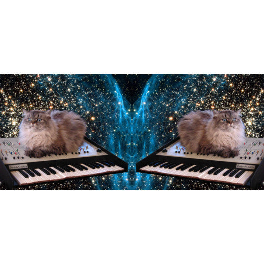 Space Cat Coffee Mug - The Supah Market