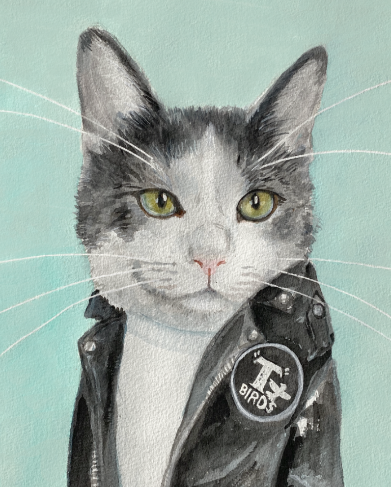 grey and white kitty with a leather jacket